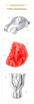 Imagen de Filamento PLA Silk Seda Creality 1kg 1.75mm