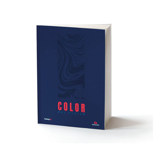 Imagen de Vallejo Libro Color BSL System